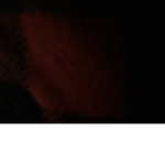 Crimson shaggy