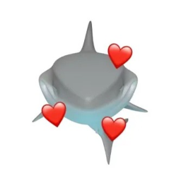 SHARKS SHOP!