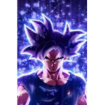 hssj2284 king