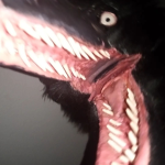 TEETH:D