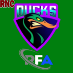 Atlanta Ducks Stadium