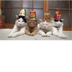 La Pandilla Gato Group Thumbnail