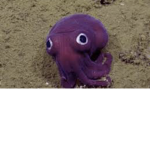 Squidwards home