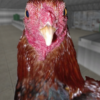 Survive ToTo and Friends in Area 51