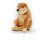 #Team_ doge