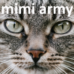 MIMl Army