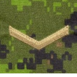 Private SCAF