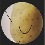 THE ALLIANCE OF POTATOES