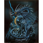 X Dragon Angels X