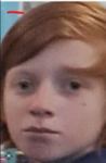 save the roblox rangas