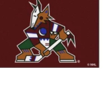 chicago coyotes