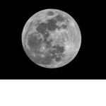 ~Moon Clan~
