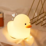 The Ducks !