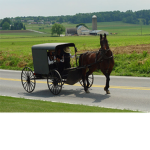Amish of Roblox