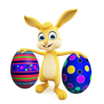 The bunny!