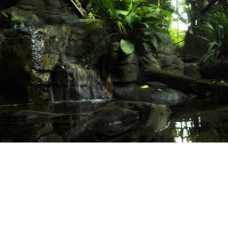 fairy grove
