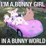 Buni Productions
