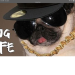 The pug people TO