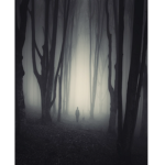 The Lost Place