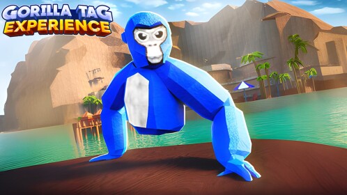 Monkey Tag Experience