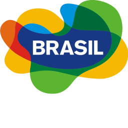 Brazil airport