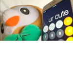 Cutie Club :D