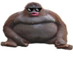 MonkeyMemeYT Fan Club!