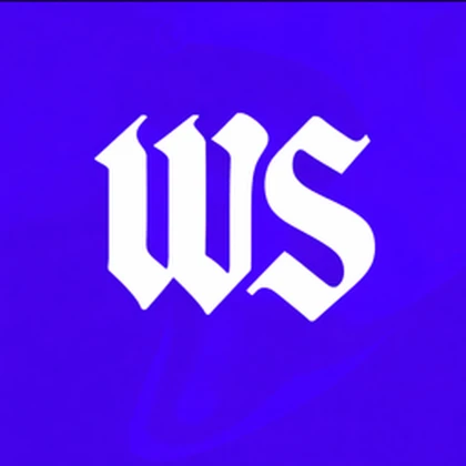 - Wild Studio Roblox group icon