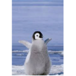 Pengy With A IceCream \v/