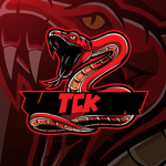 Tricky Studios