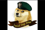 Doge Special Operations Group