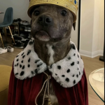 king ben’s throne