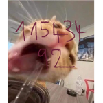 Cᴜᴛᴇ sʜɪʀᴛs ɪɢ