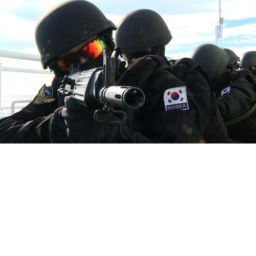 Police SWAT Team ##