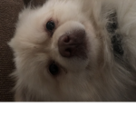 Alan.