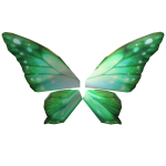Nature Fairy Wings