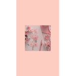 Cotton pink squad