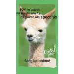 Io regalo robux a chi voglio