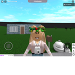 The Roblox Gaming Fan Club