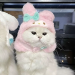 Rumiのお部屋