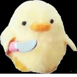 Are u fan of chickens?
