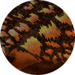 PRISMATIC Copper Gallimimus Unlocked!
