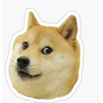 Doge_ familygroup