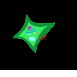 Project Biology