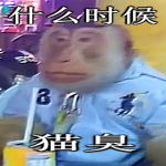 Monke Gang SLUMS