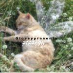 G l o s s y p r e s e n t s