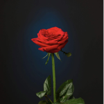 ROSE-B GROUP