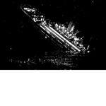 Blue star line ship grouo
