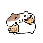 squid game || kdrama