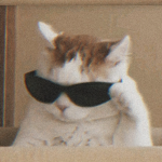 higggg